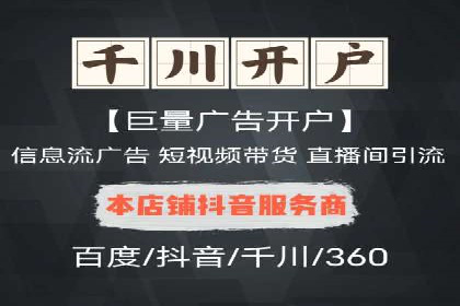 SEM广告投放的竞价策略与效果评估案例